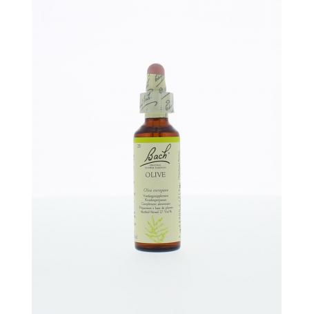 Olive/olijf van Bach