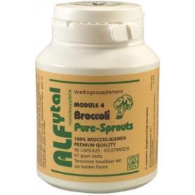 Broccoli pure-sprouts