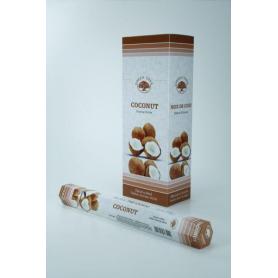 Wierook Buddhas blessing van Satya