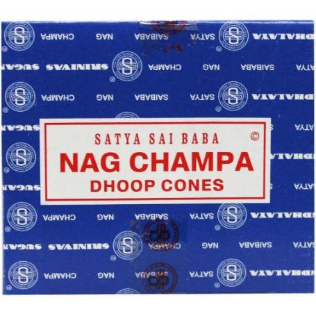Kegelwierook satya nag champa van Satya