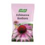 A Vogel Echinacea kruidenbonbons (75 gram) van A Vogel