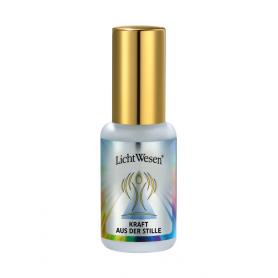 A Vogel Famosan salvia overgang sterk (25 tabletten) van A Vogel