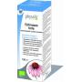 Echinacea forte plantendruppels bio van Physalis