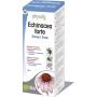 Echinacea forte siroop bio van Physalis