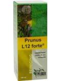 Prunus L12 forte van Pfluger
