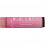 Getinte lippenbalsem Pink blossom van Burts Bees