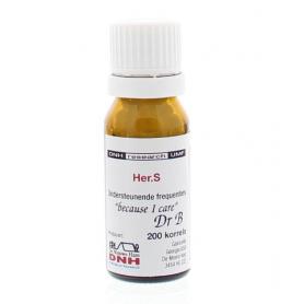 Centaury/duizendguldenkruid 5 bio van Ladrome