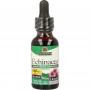 Echinacea extract alcoholvrij van Natures Answer