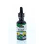 Gember extract alcoholvrij van Natures Answer