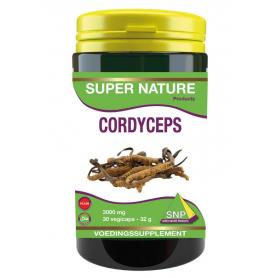 Terranova Ginseng 500 mg (100 capsules) van Terranova