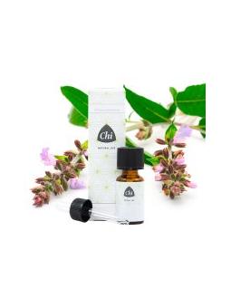 Pepermunt olie van Jacob Hooy