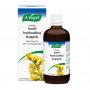 A Vogel Solidago complex (100ml) van A Vogel