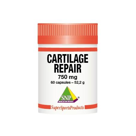 Cartilage repair 750mg puur van SNP