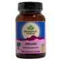 Amalaki bio van Organic India