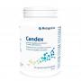 Metagenics Candex (90 capsules) van Metagenics