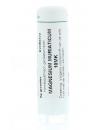 Magnesium muriaticum 10MK van Homeoden Heel