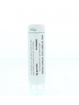 Hypericum perforatum D4 van Homeoden Heel