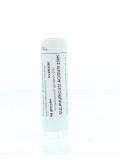 Sulphuricum acidum 200K van Homeoden Heel