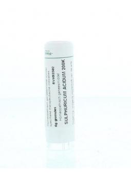 Iris versicolor D6 van Homeoden Heel