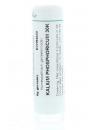 Kalium phosphoricum 30K van Homeoden Heel