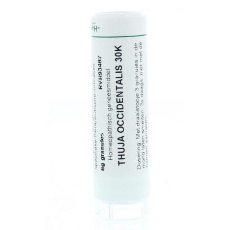 Thuja occidentalis 30K van Homeoden Heel