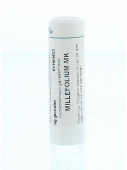 Causticum D6 van Homeoden Heel