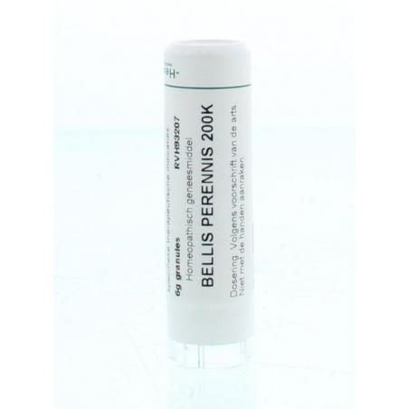 Bellis perennis 200K van Homeoden Heel