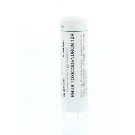 Rhus toxicodendron 12K van Homeoden Heel