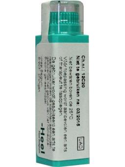 Lycopodium clavatum D6 van Homeoden Heel