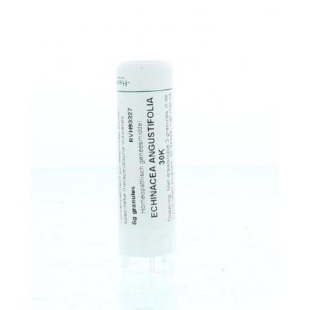 Echinacea angustifolia 30K van Homeoden Heel