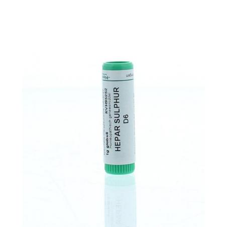 Hepar sulphur D6 van Homeoden Heel