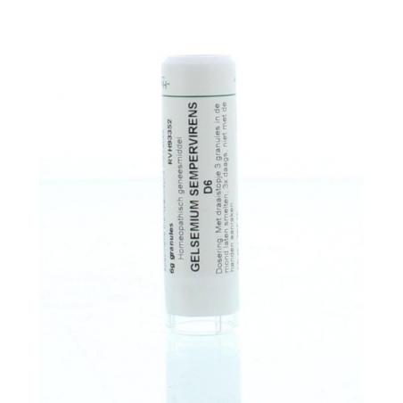 Gelsemium sempervirens D6 van Homeoden Heel