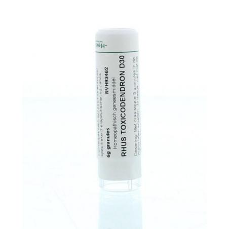 Rhus toxicodendron D30 van Homeoden Heel