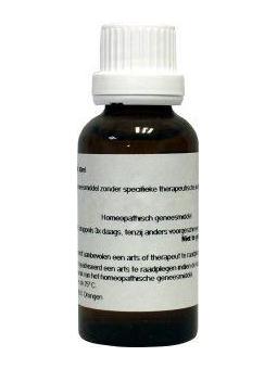 China officinalis D6 van Homeoden Heel