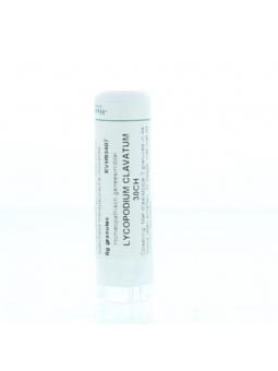 Echinacea purpurea D30 van Homeoden Heel