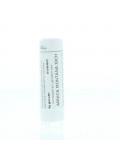 Arnica montana 30CH van Homeoden Heel