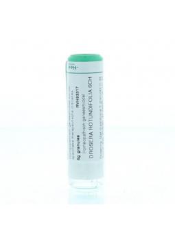 Arnica montana 10MK van Homeoden Heel