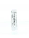 Magnesium phosphoricum 12K van Homeoden Heel
