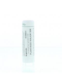 Hypericum perforatum D6 van Homeoden Heel