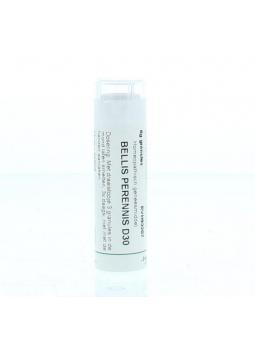 Conium maculatum 200K van Homeoden Heel