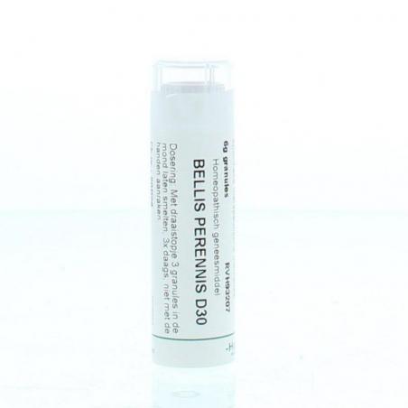 Bellis perennis D30 van Homeoden Heel