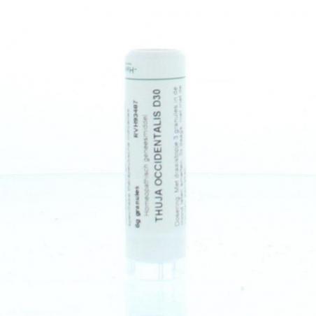Thuja occidentalis D30 van Homeoden Heel