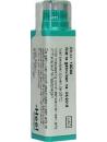 Solidago virgaurea lm1 van Homeoden Heel