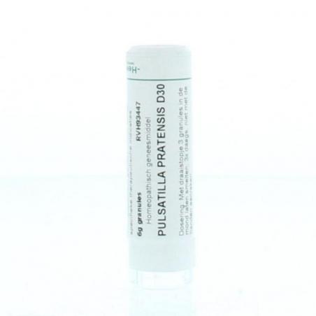 Pulsatilla pratensis D30 van Homeoden Heel