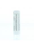 Ammonium muriaticum D6 van Homeoden Heel