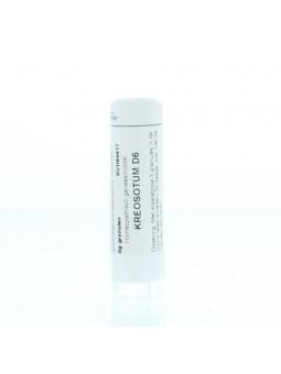 Thuja occidentalis D6 van Homeoden Heel