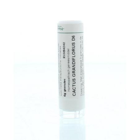 Cactus grandiflorus D6 van Homeoden Heel