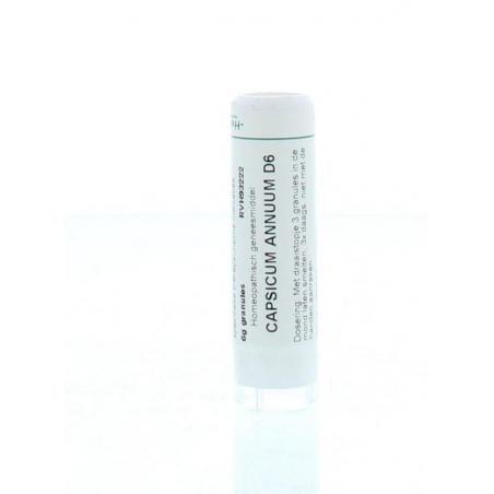 Capsicum annuum D6 van Homeoden Heel