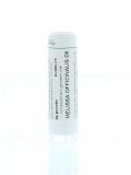 Melissa officinalis D6 van Homeoden Heel