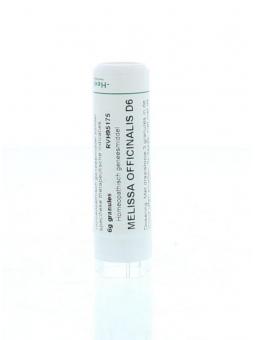 Viola tricolor 30K van Homeoden Heel